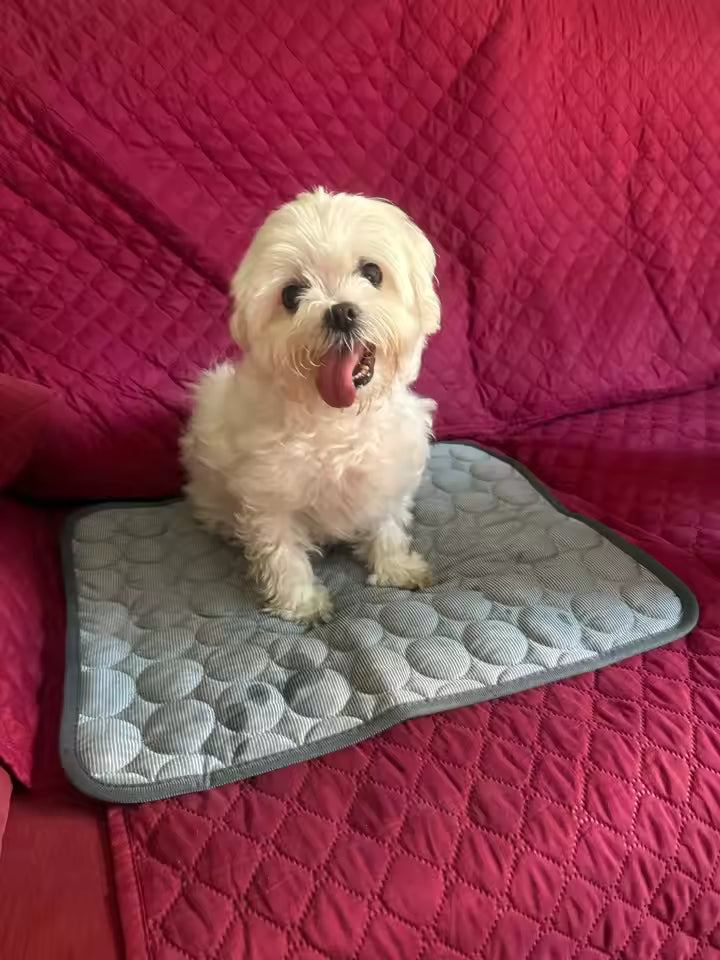 Fluff n Buff® Cooling Blanket