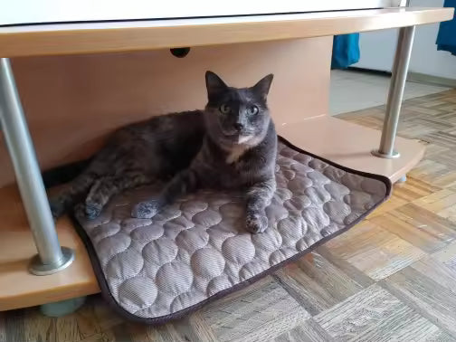 Fluff n Buff® Cooling Blanket